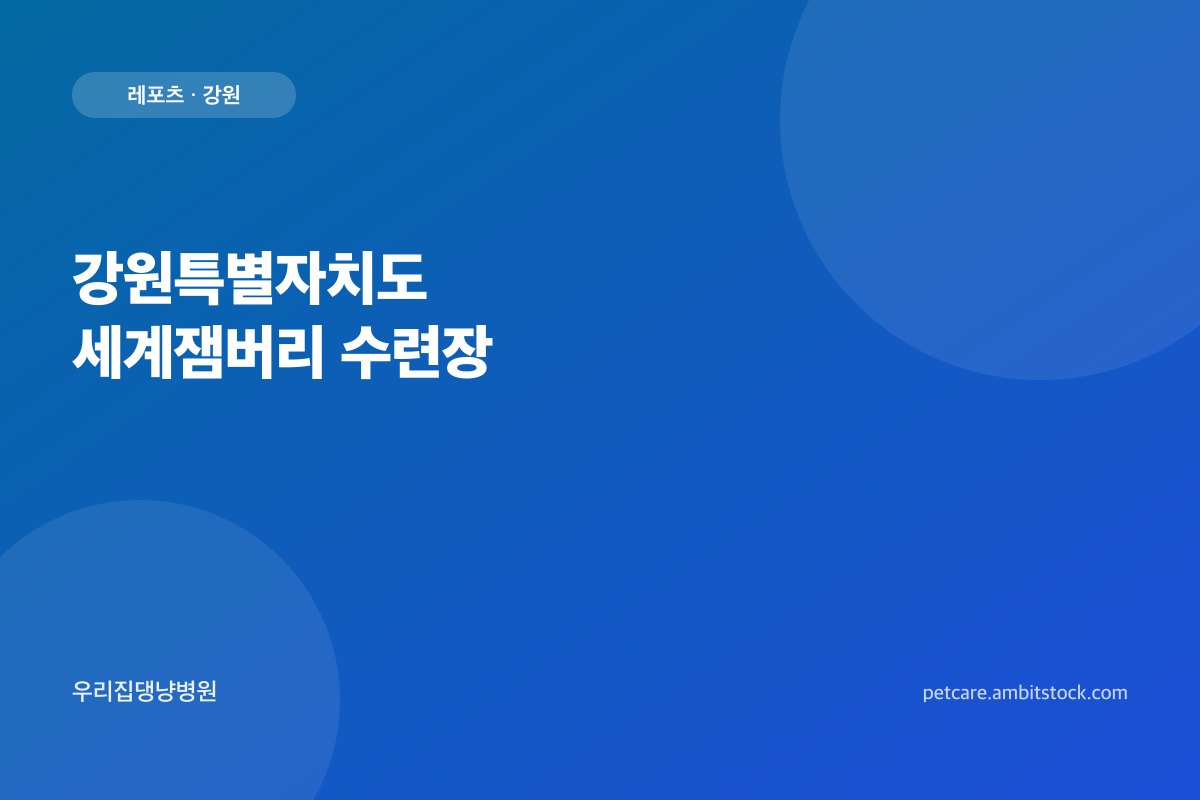 강원특별자치도 세계잼버리 수련장