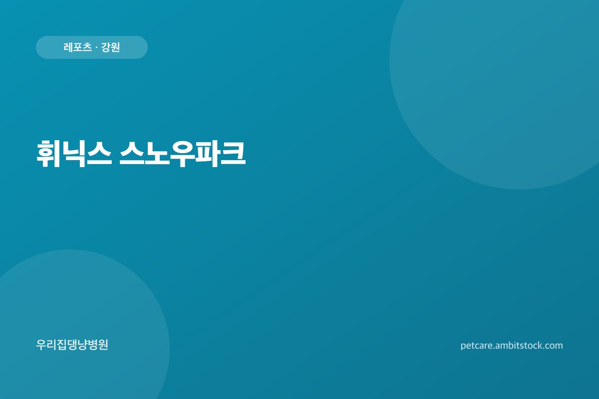 휘닉스 스노우파크