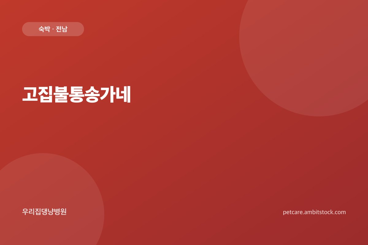 고집불통송가네