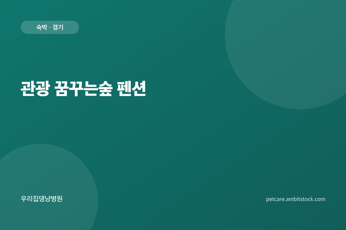 관광 꿈꾸는숲 펜션