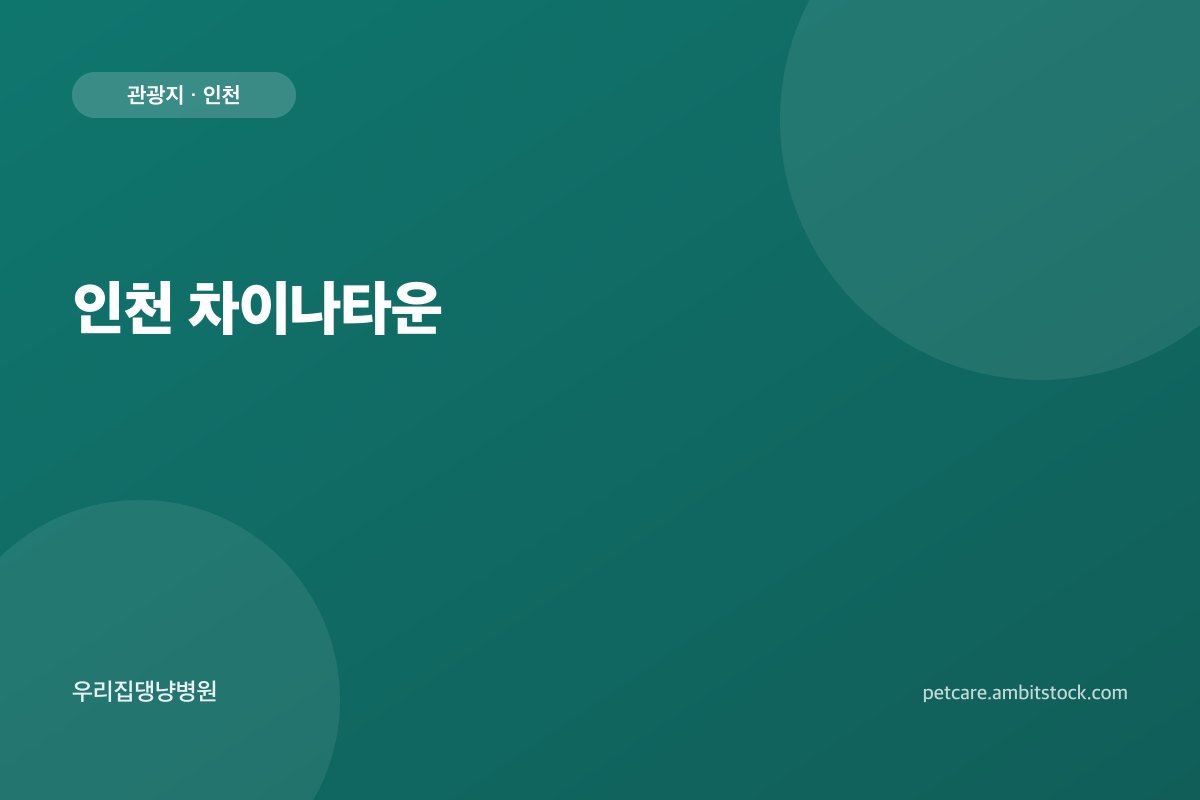 인천 차이나타운