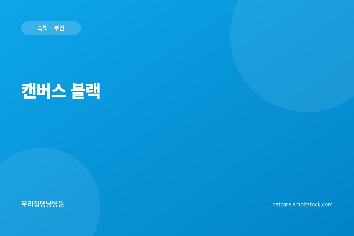 캔버스 블랙