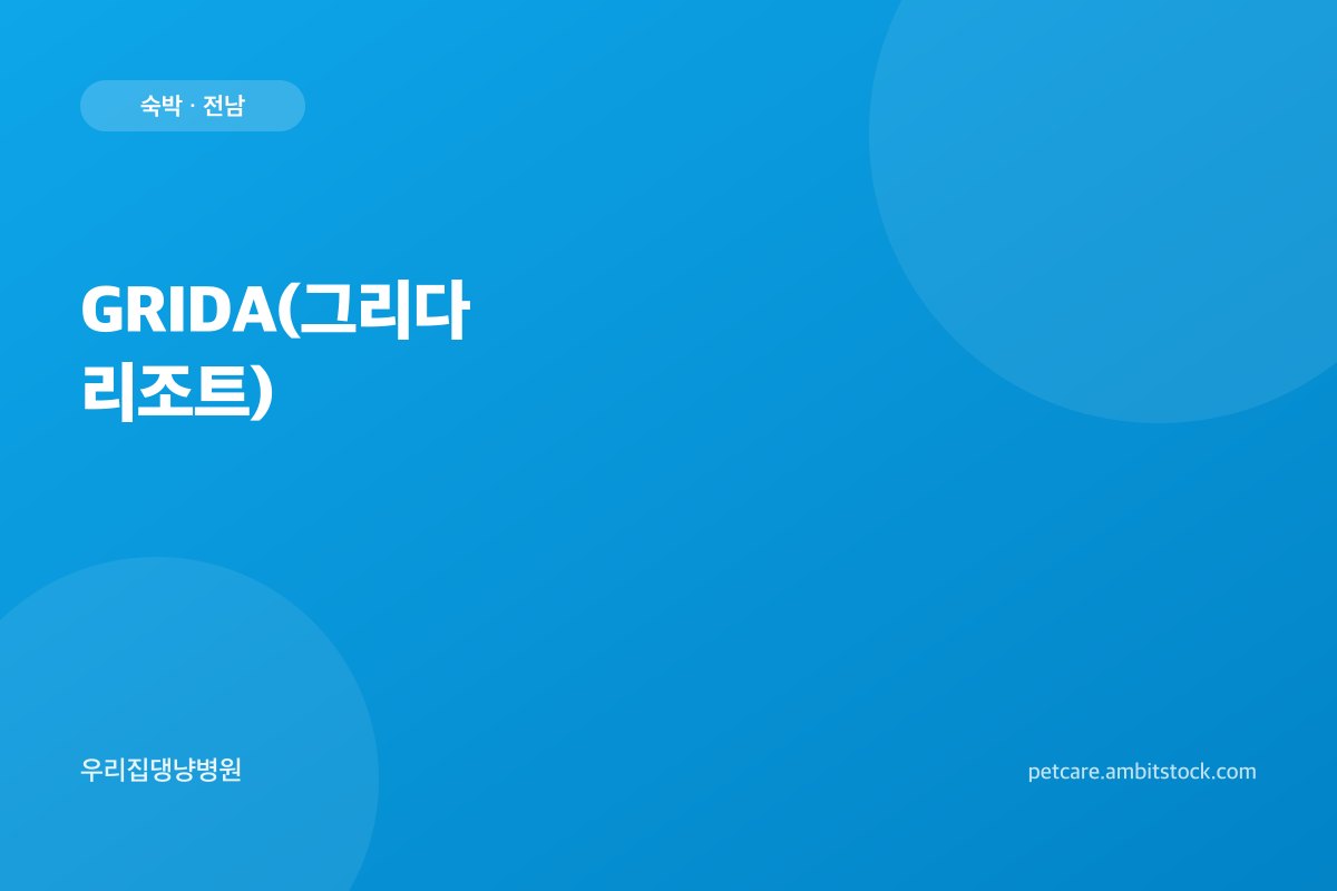 GRIDA(그리다 리조트)
