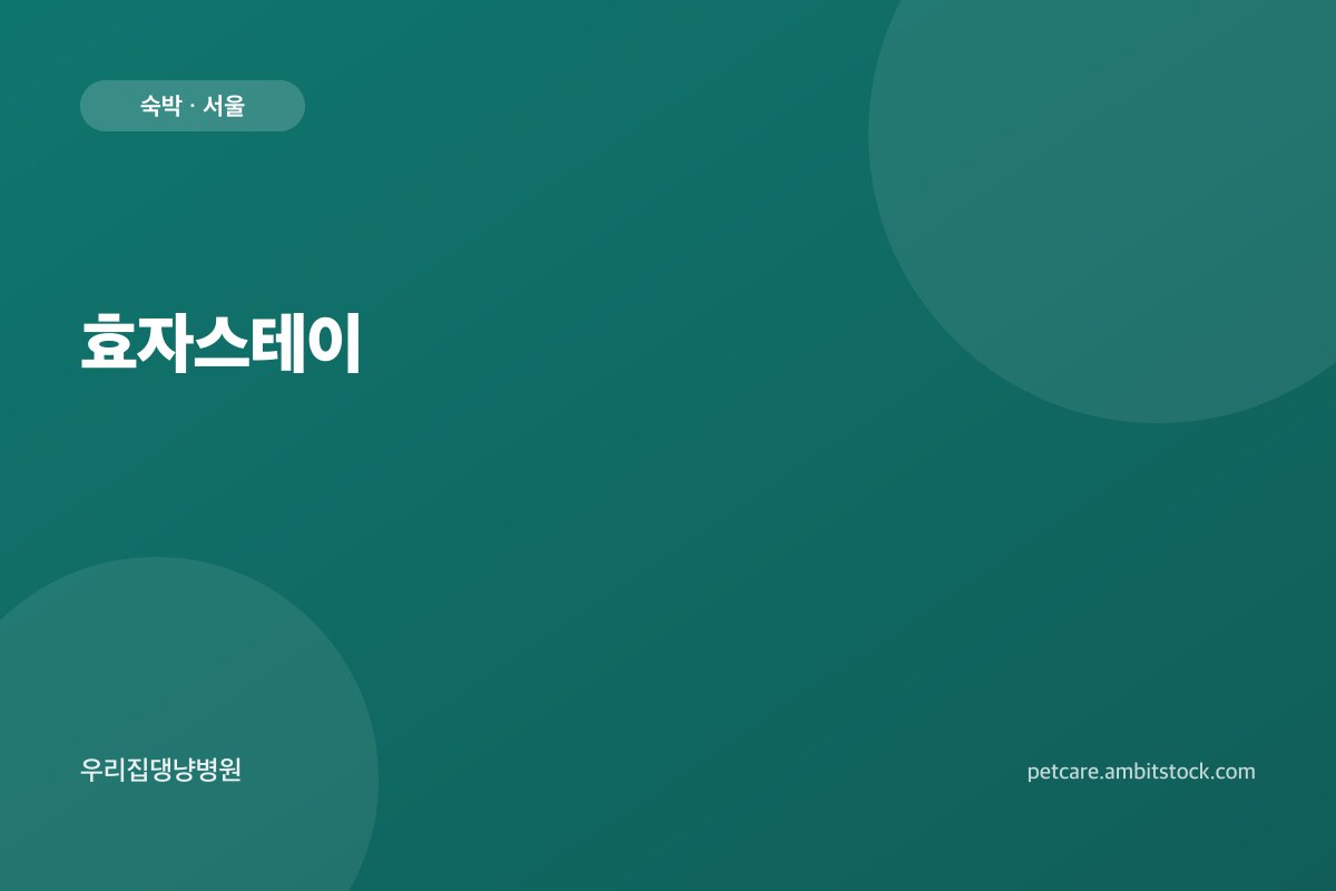 효자스테이