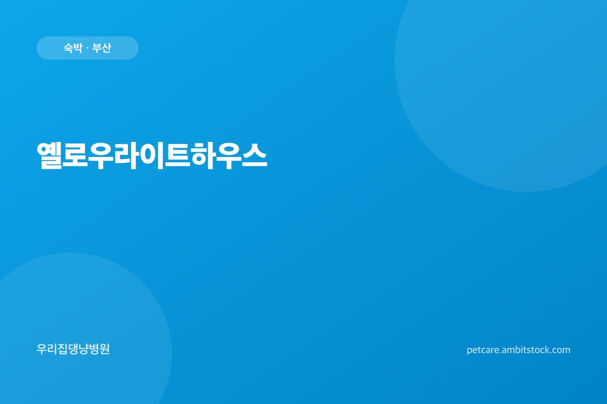 옐로우라이트하우스