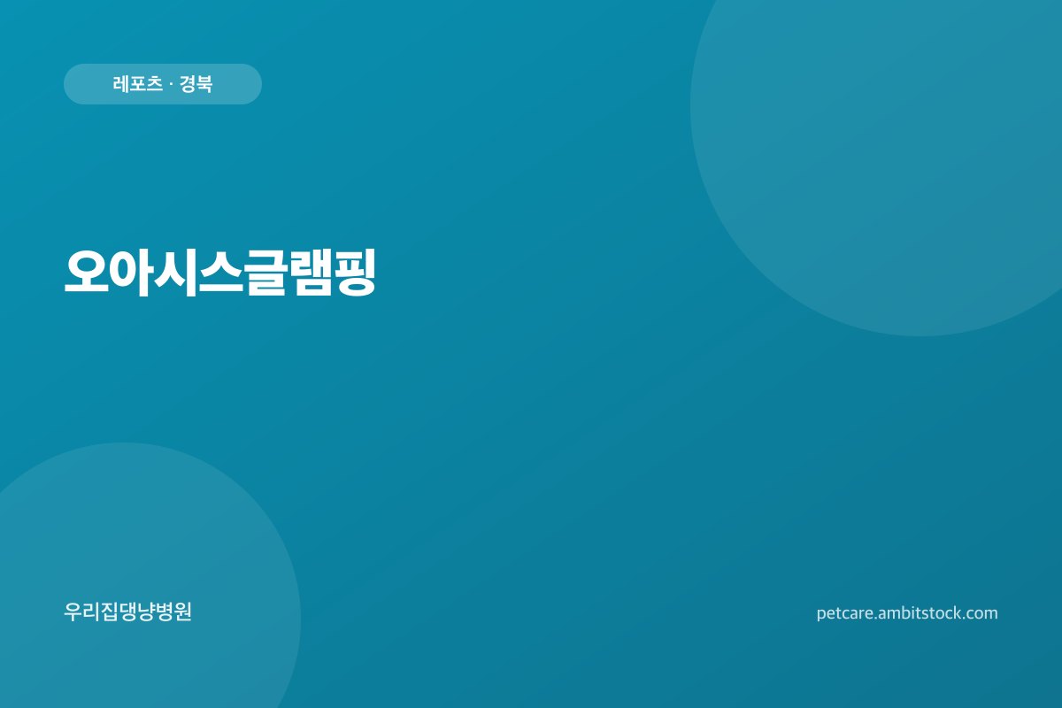 오아시스글램핑