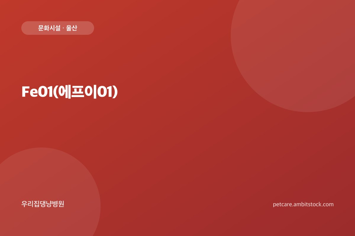 Fe01(에프이01)