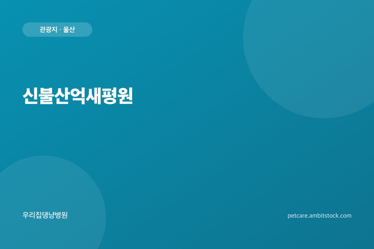 신불산억새평원