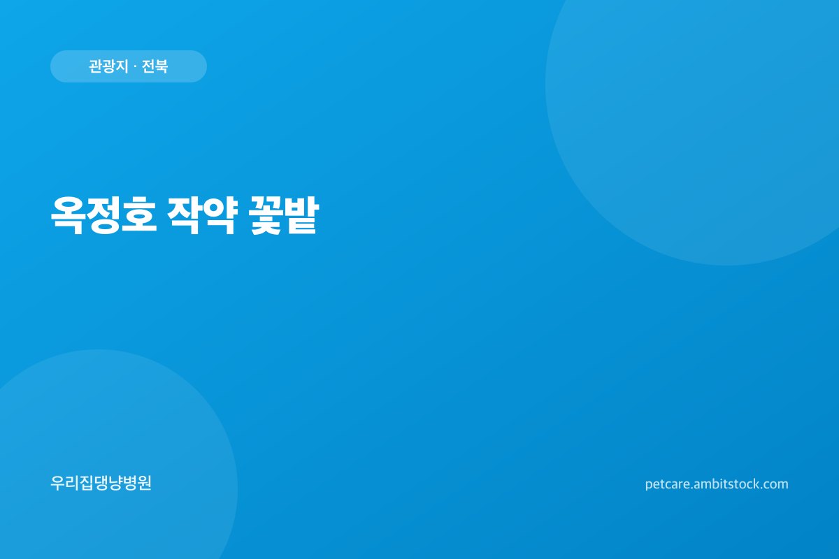 옥정호 작약 꽃밭