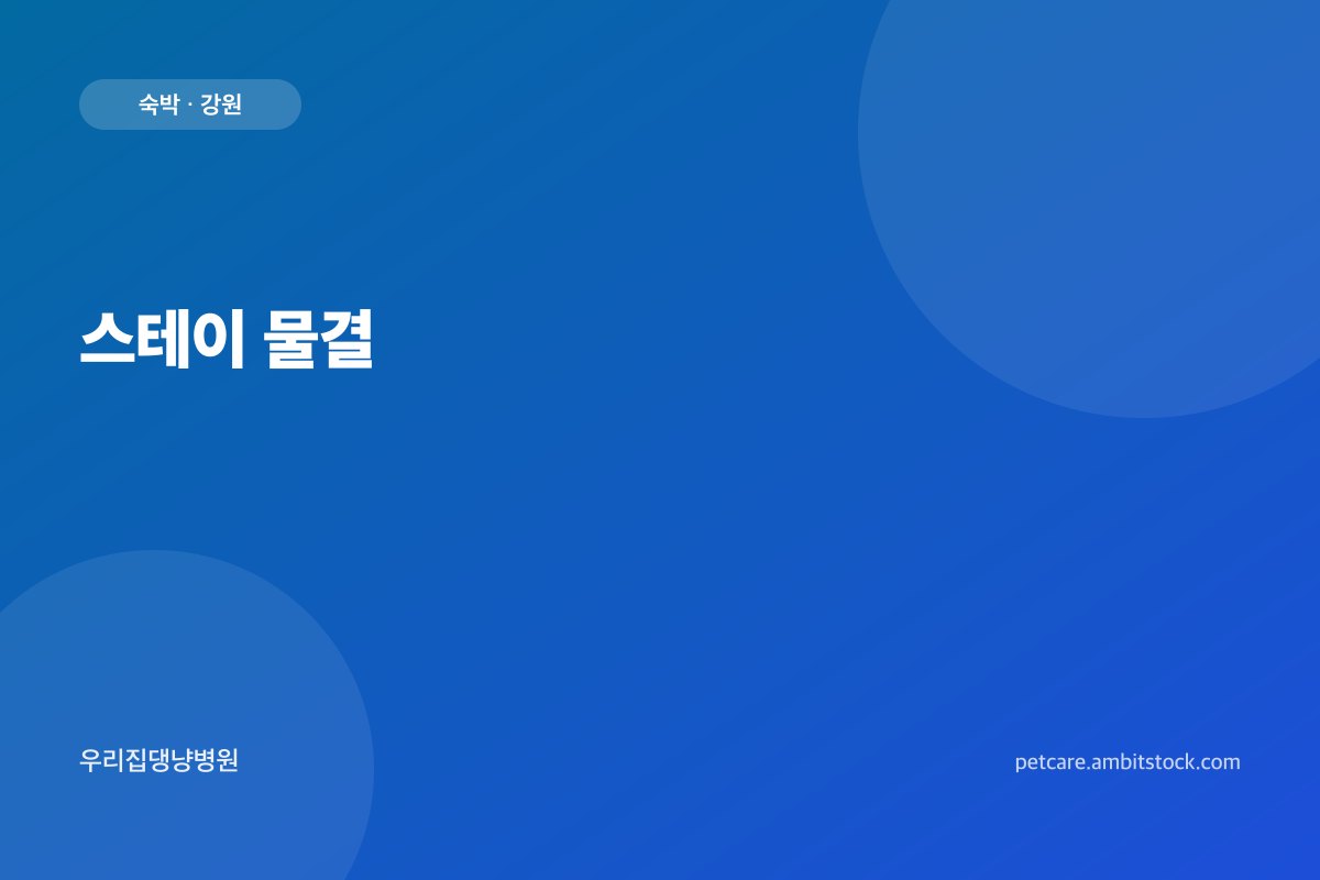 스테이 물결