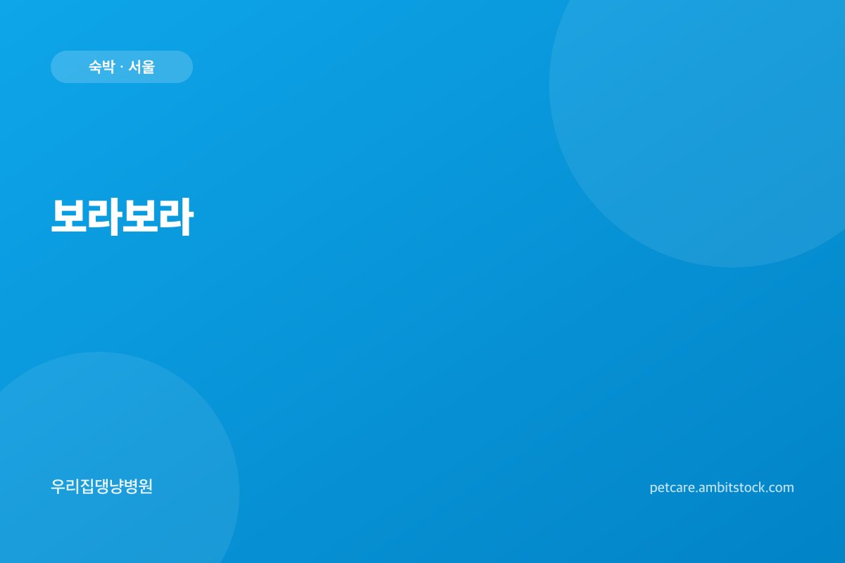 보라보라