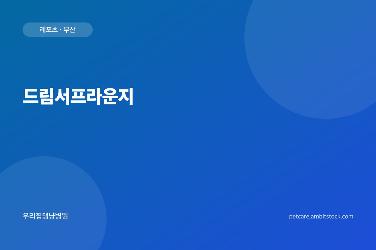드림서프라운지