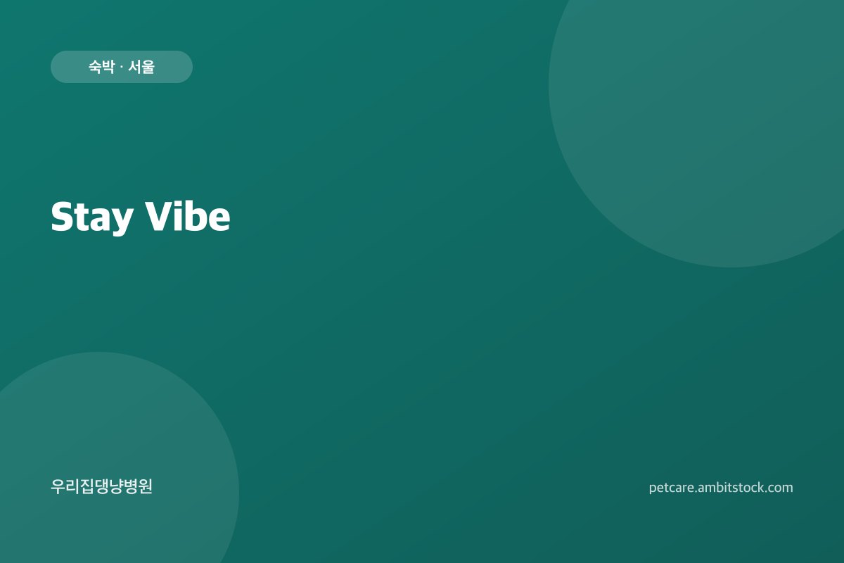 Stay Vibe