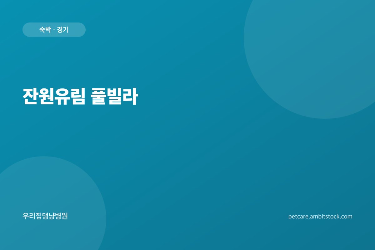 잔원유림 풀빌라