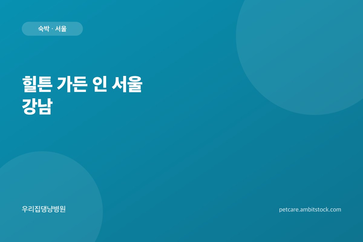 힐튼 가든 인 서울 강남