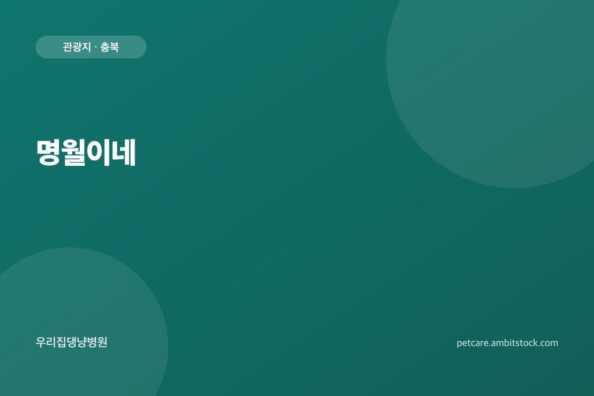 명월이네