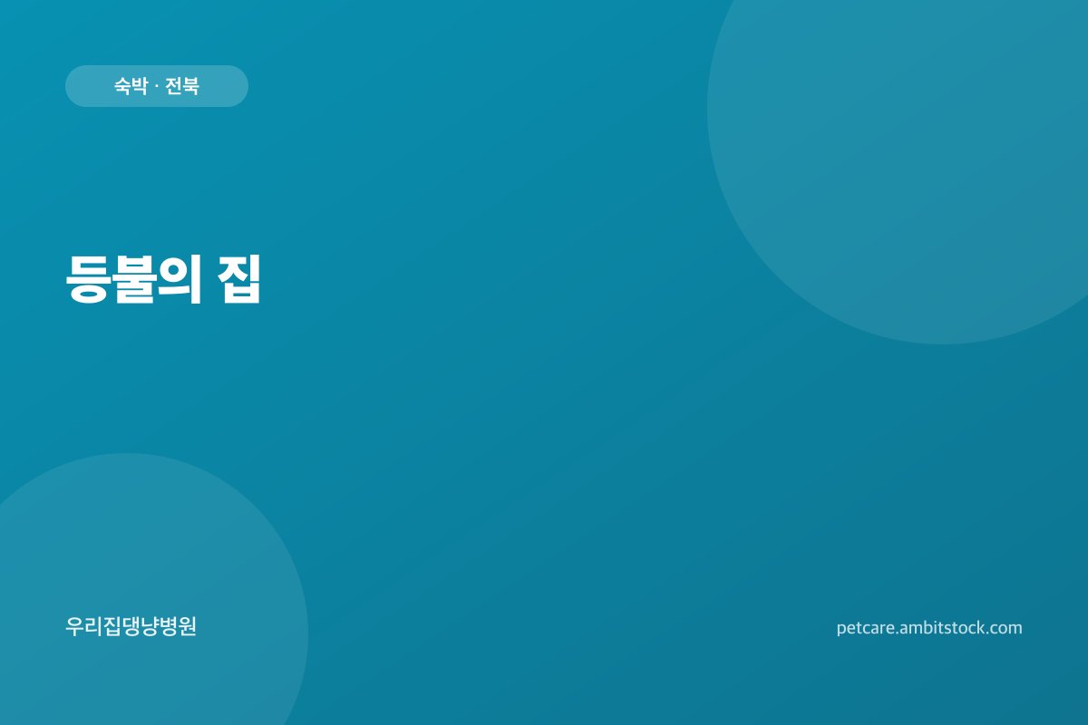 등불의 집