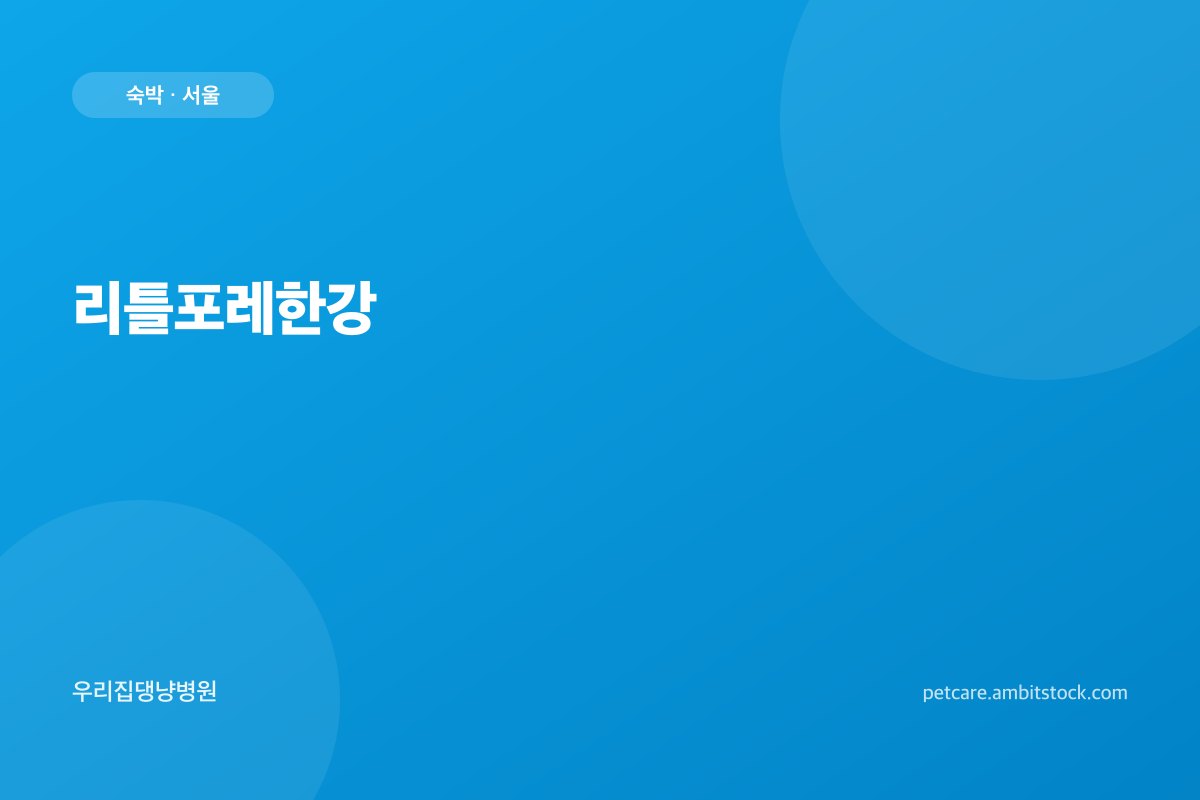 리틀포레한강