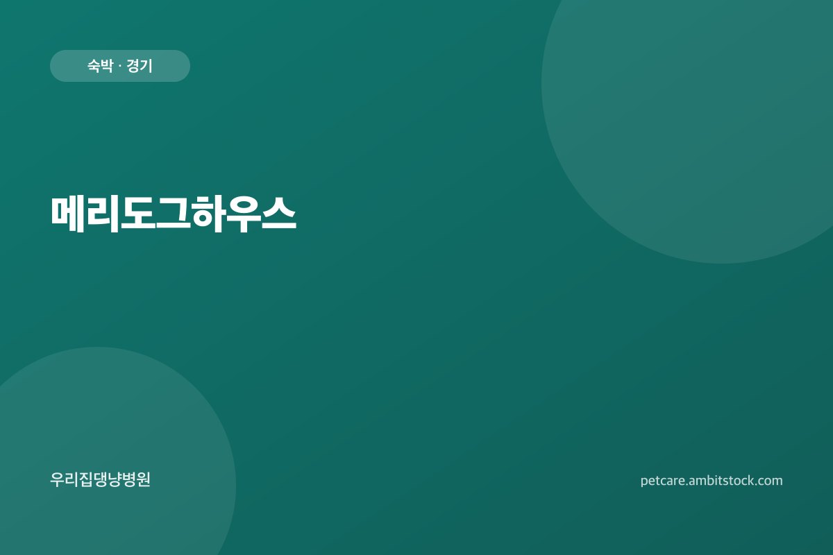 메리도그하우스