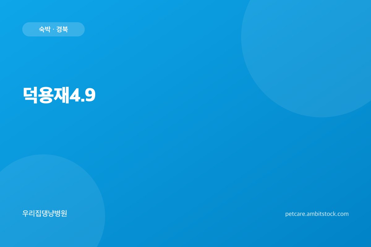 덕용재4.9