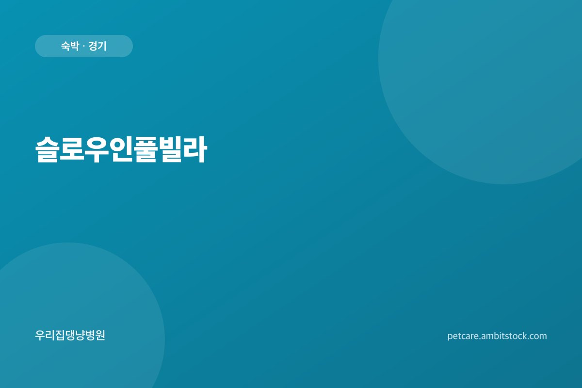 슬로우인풀빌라