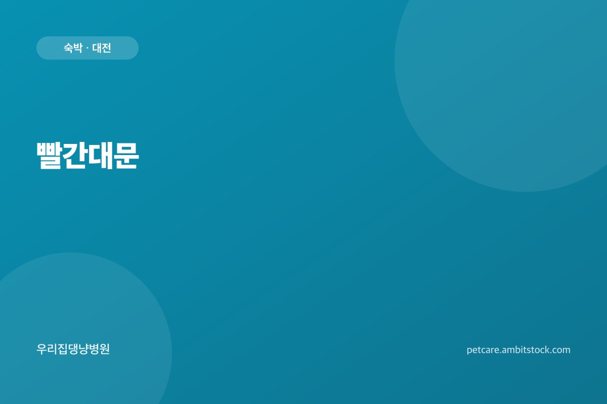 빨간대문