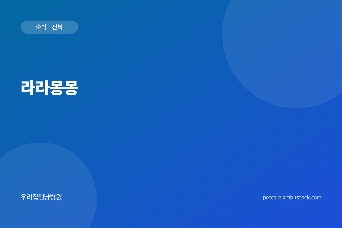 라라몽몽