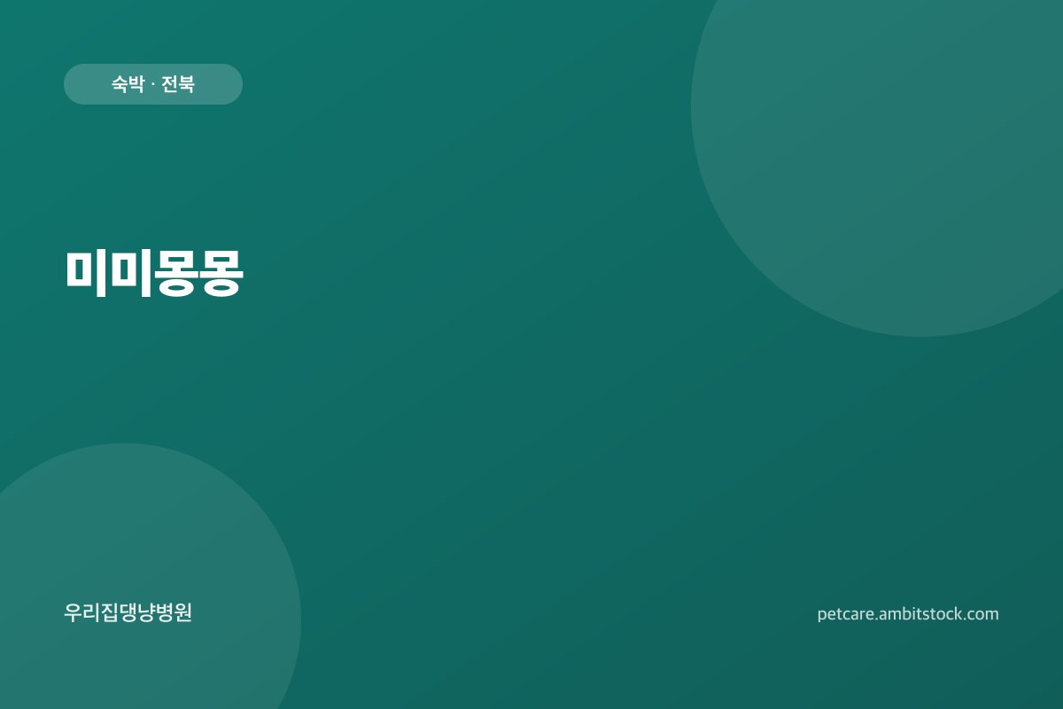 미미몽몽