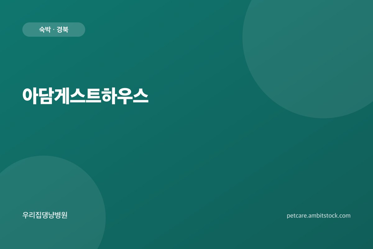아담게스트하우스