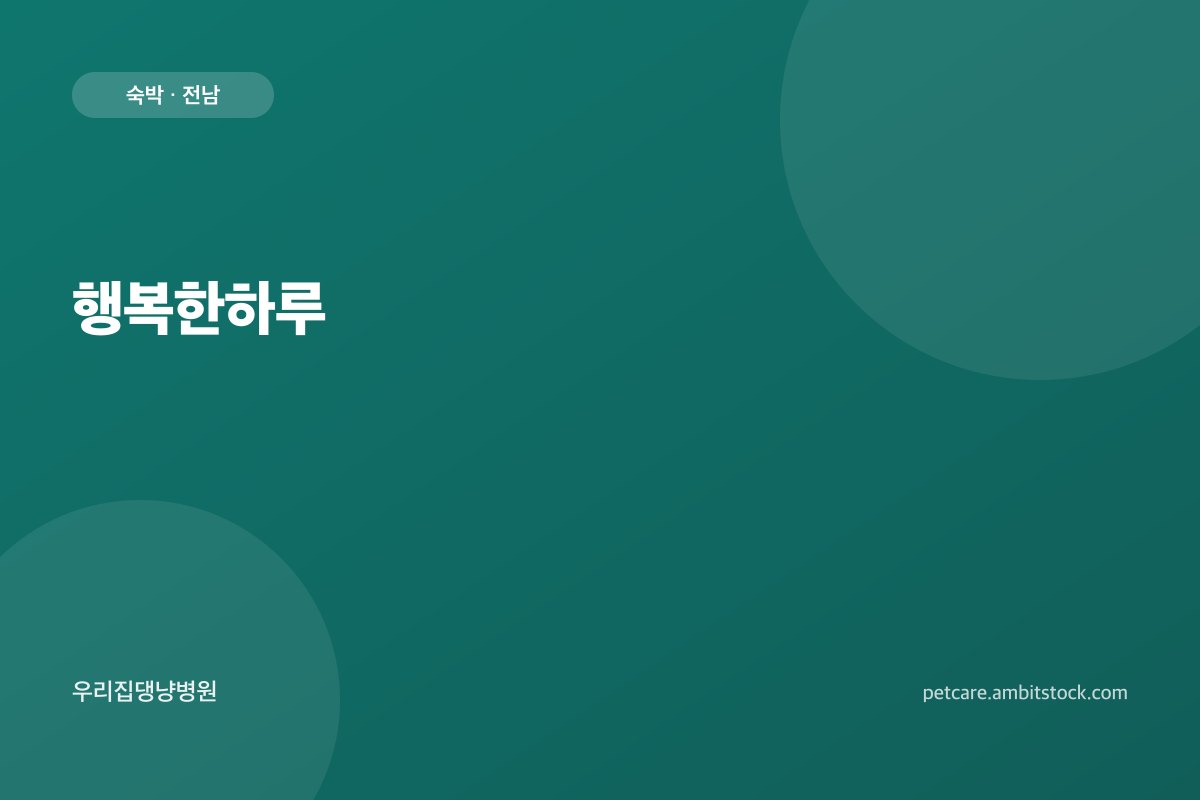 행복한하루
