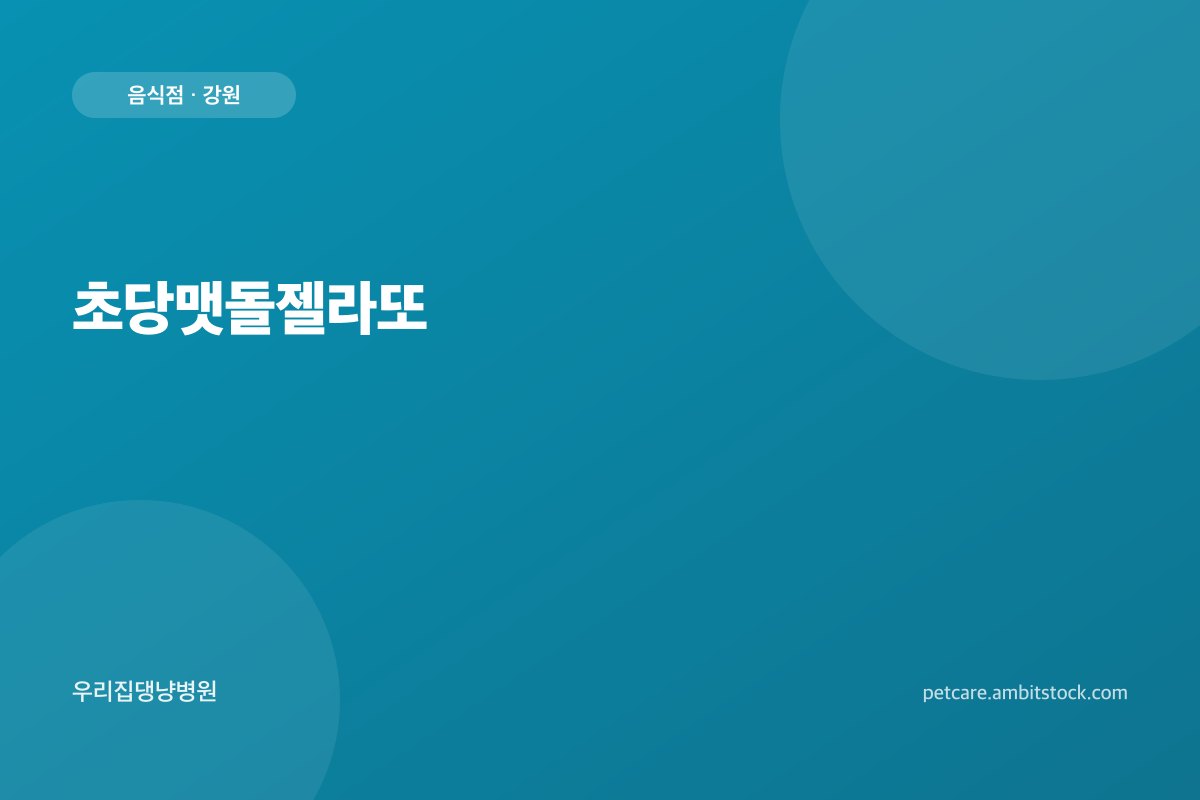초당맷돌젤라또 매장