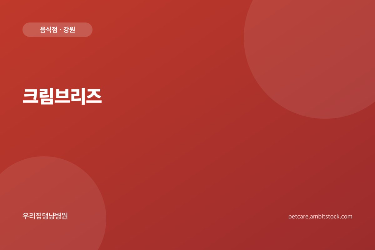 크림브리즈 매장
