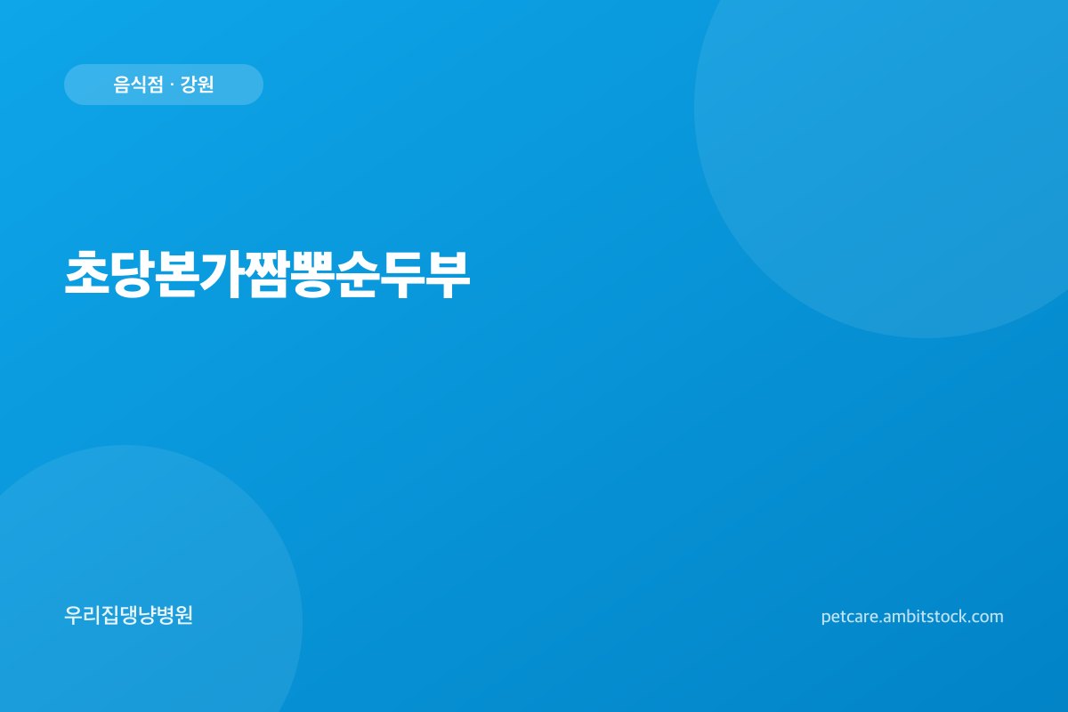 초당본가짬뽕순두부