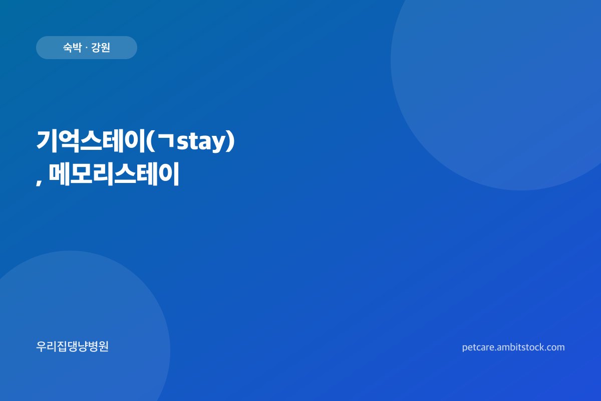 기억스테이(ㄱstay), 메모리스테이