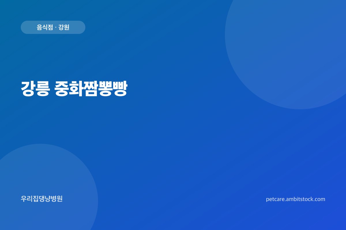 강릉 중화짬뽕빵