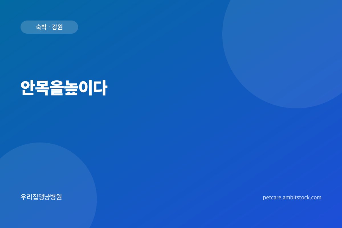 안목을높이다