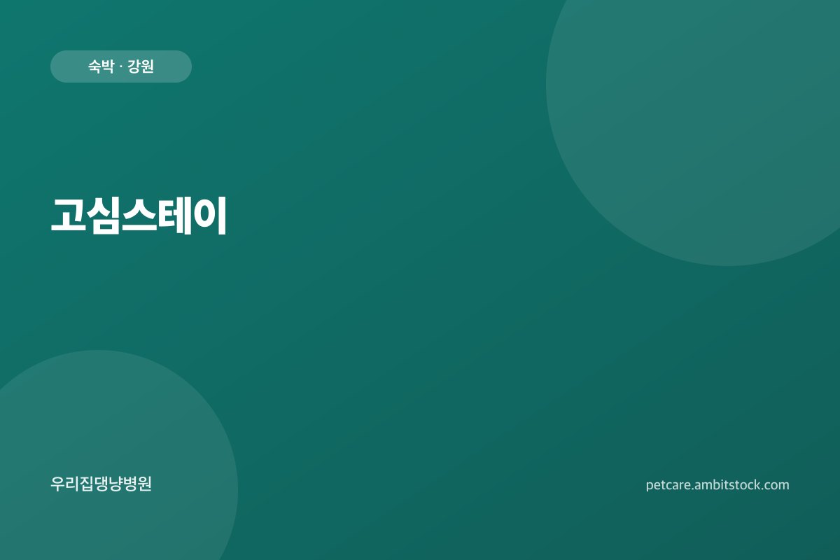 고심스테이