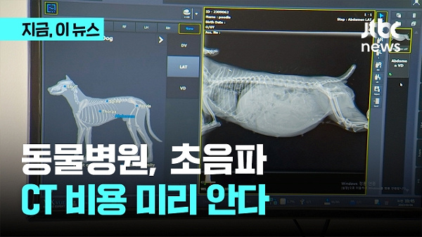 동물병원 CT MRI 비용, 왜 촬영가만 보면 안 맞을까