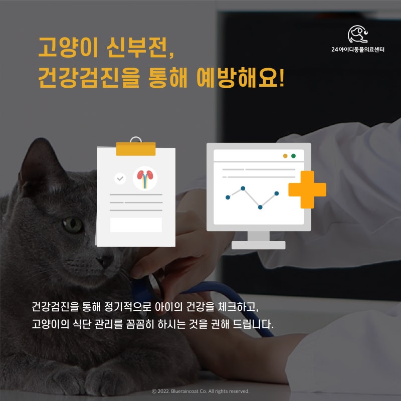 시니어 패키지와 단품, 어떤 조건으로 맞춰 볼까