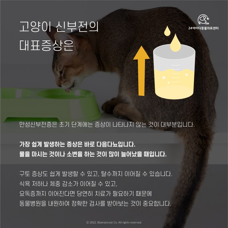 소변을 못 받으면 당일 비용이 어떻게 달라질까