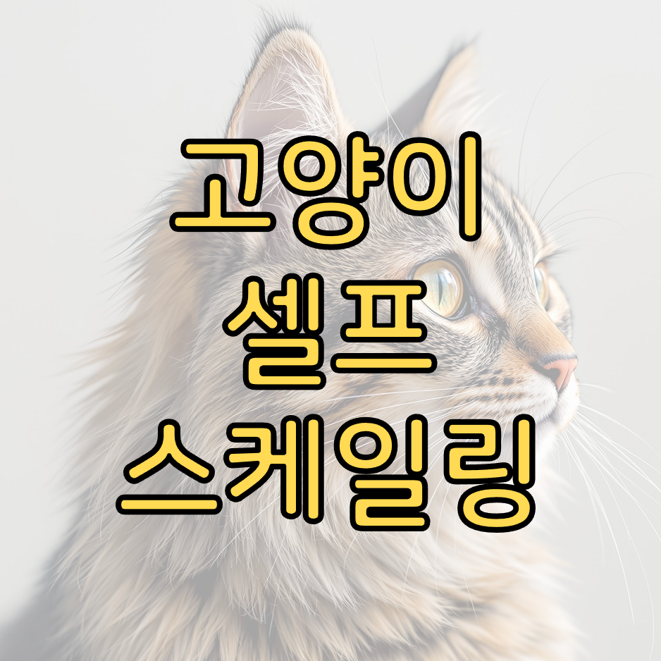 견적 창구에서 어떤 문장으로 물어보면 될까