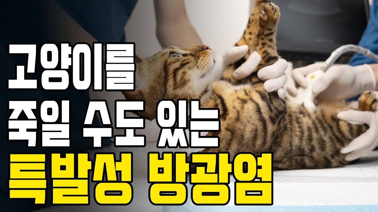 소변을 한 방울도 못 누면 지금 당장 가야 할까