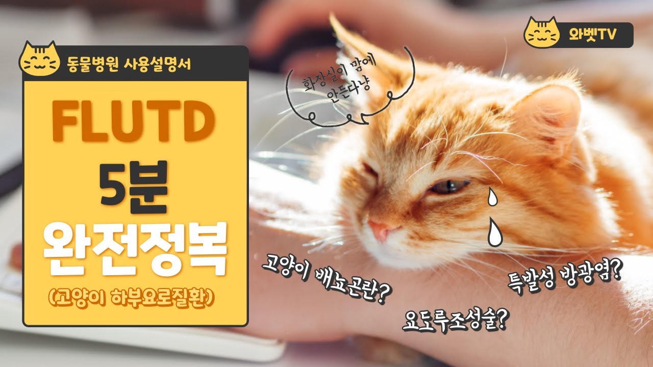 재발 관리가 연간 비용이 되는 이유는