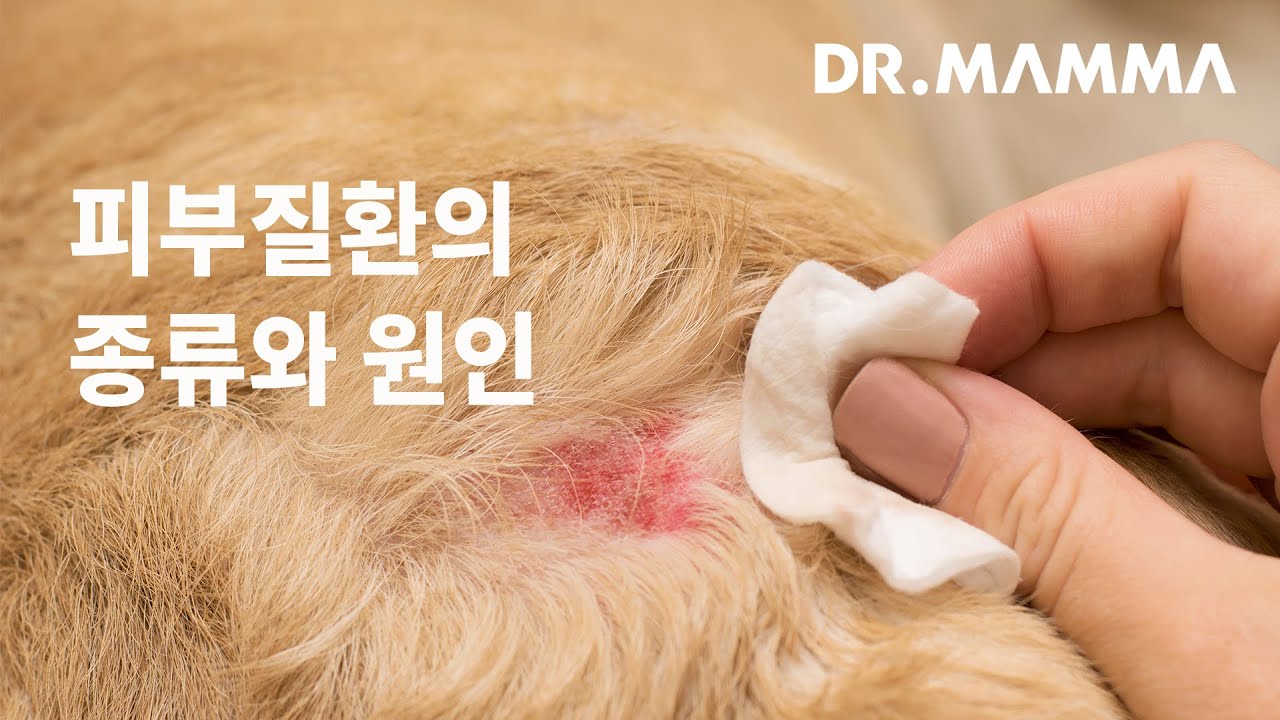 봄가을 악화랑 식이 시험이면 예산이 얼마나 흔들릴까