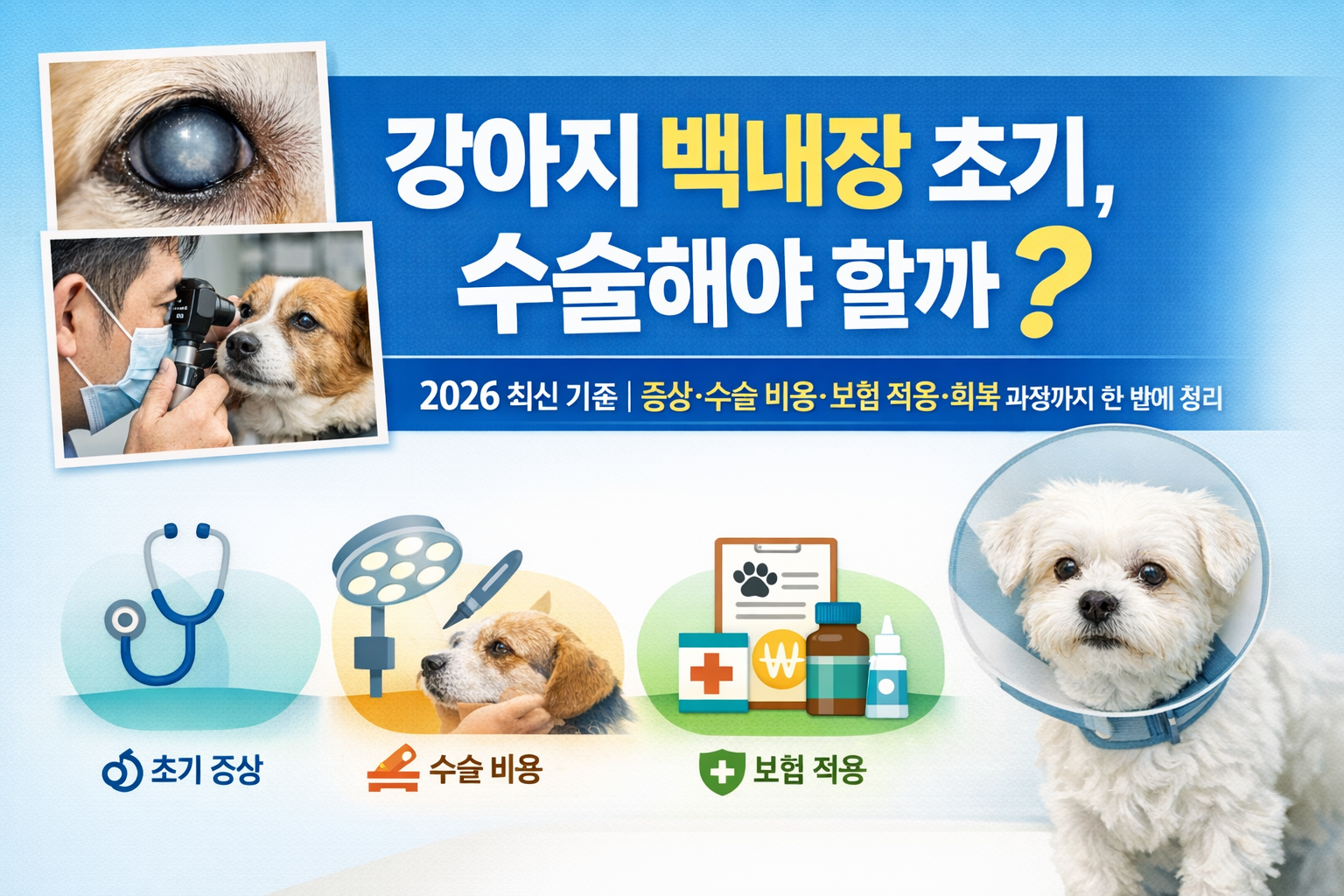 강아지 백내장 수술 비용