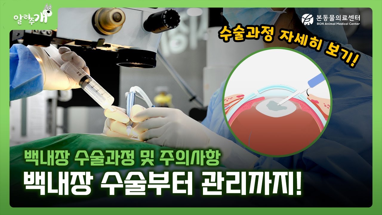 술전 검사와 당뇨가 붙으면 비용이 얼마나 올라갈까