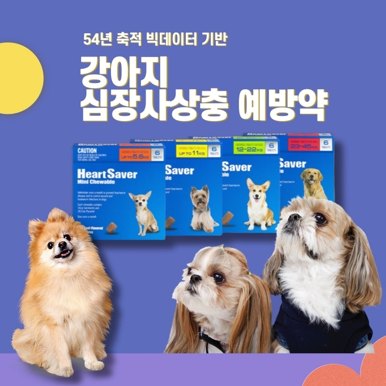강아지 심장사상충 예방 비용