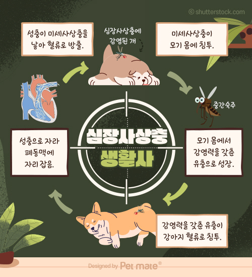 예방 전에 항원검사는 왜 붙을까