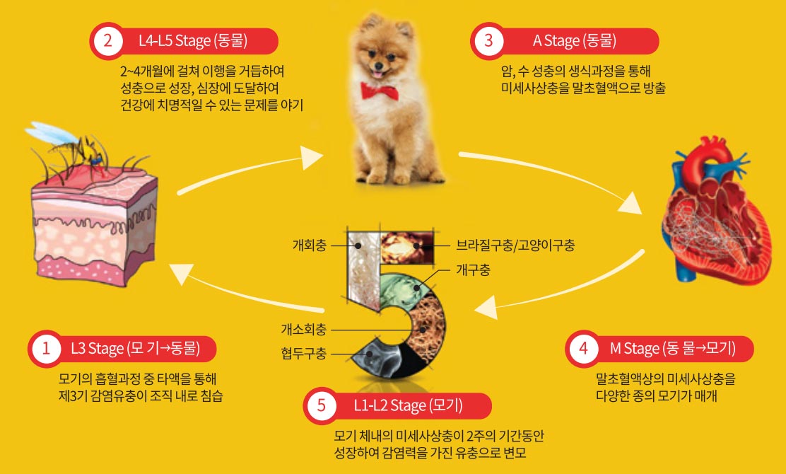 놓친 달이나 여행이 있으면 예산이 흔들릴까