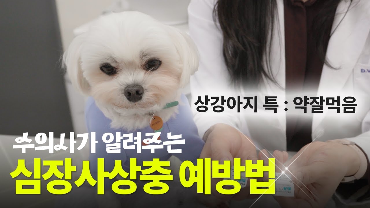 병원 견적, 어떤 문장으로 물어보면 될까